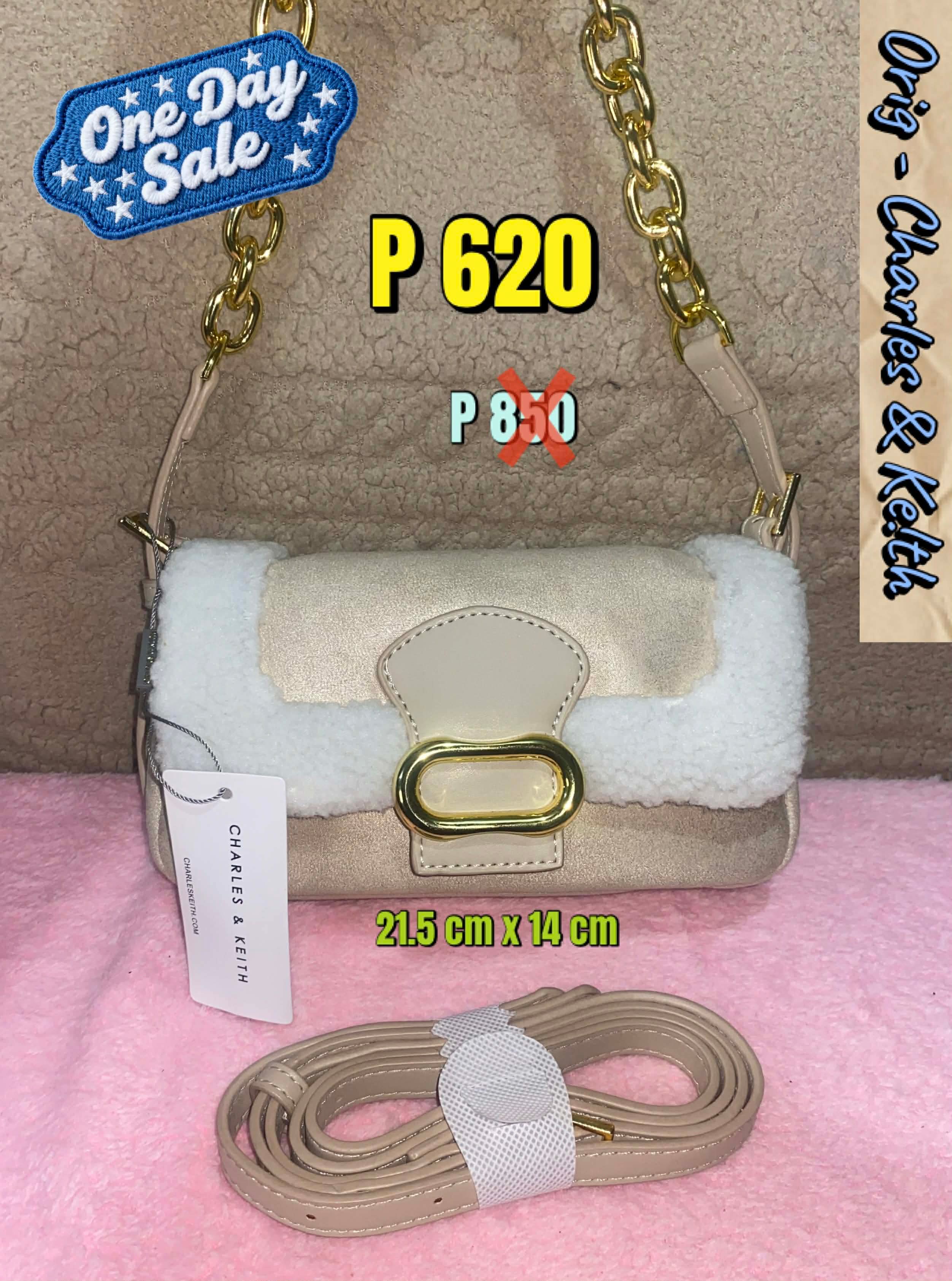 Charles & Keith Metallic Faux Shearling Flap Bag